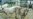 US: Antibiotic Use in Livestock Harms People