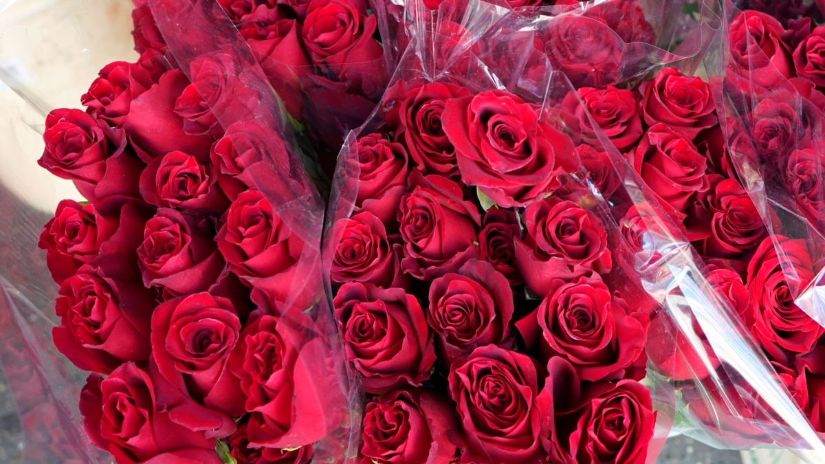 El Mes de San Valentín