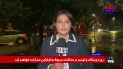 گزارش داخلی: ۳۱ نفر در هشت پرونده قتل خانوادگی طی یک ماه در ایران کشته شدند   