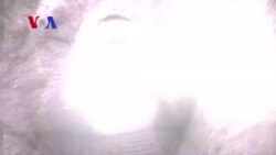 Green Beat 062915 Koala Overpopulation