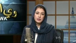 د ډیوه ریډیو د روانو چارو خپرونه په ټي وي