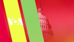 Livetalk: Women's Roundtable, Mpalakazi 16, 2021