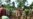 Are DRC, Mozambique Insurgencies a Real IS Threat?