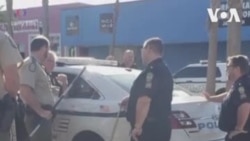 (Не)ручная змея