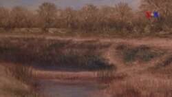 A arte nunca se refugia - a vida dos artistas refugiados nos EUA