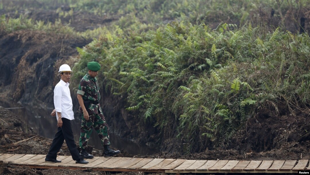 FILE - Indonesian President Joko Widodo (L) inspects a canal in Pulang Pisau, Central Kalimantan, Oct. 31, 2015. 
