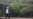 Police Investigate Indonesian President's Son for Blasphemy