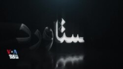 اخبار شبانگاهی