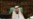 استقبال محتاطانه عربستان از توافق ژنو