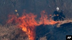 ARCHIVO - En esta fotografía de archivo del 30 de agosto de 2019, la policía y los bomberos trabajan para apagar un incendio en el bosque de Chiquitania en las afueras de Robore, Bolivia.