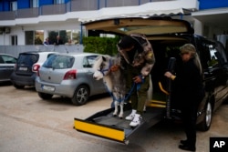 Founder of Gentle Carousel Greece Mina Karagianni, right, and stable worker Ali Hussein arrive with Homer, a miniature horse, at a psychiatric clinic for adults in Nea Makri, outside Athens, Greece, on Friday, Nov. 15, 2024. (AP Photo/Thanassis Stavrakis)