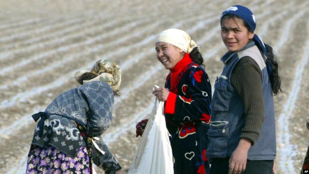 Dalada ishlayotgan ayollar, Andijon, 2005-yil, 6-aprel