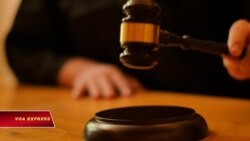 LHQ yêu cầu Việt Nam phóng thích các nhà bất đồng chính kiến vừa bị kết án