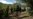 Charred Bodies Found in Mexico Mass Grave
