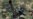 Saber Rattling Leaves Korean Peninsula on Edge