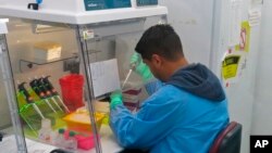 El virus del Zika se propaga principalmente a través de la picadura de mosquitos. 