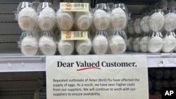 FILE - Eggs are for sale at a grocery store in Lyndhurst, New Jersey, Feb. 4, 2025. A three-year bird flu outbreak in U.S. poultry has killed 166 million chickens since 2022, according to USDA data.