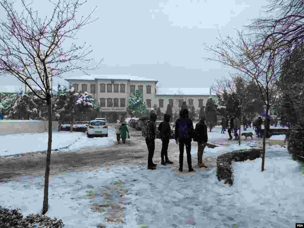 Shkodra snow 