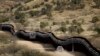 Largest Yet: $1.3 Billion Contract for Border Wall Awarded 