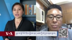 རྒྱལ་ས་ལྡི་ལིའི་ཏོག་དབྱིབས་ནད་ཡམས་ཀྱི་ཛ་དྲག་གནས་སྟངས།