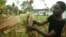 FILE: Christine Peresuh harvests corn in her garden in Harare, Tuesday, April 5, 2005. 