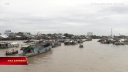 USAID tài trợ dự án bảo tồn môi trường Đồng bằng sông Cửu Long