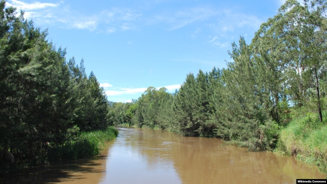 Suasana di Sungai Mary di Conondale, Queensland, Australia (Foto: dok).