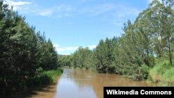 Suasana di Sungai Mary di Conondale, Queensland, Australia (Foto: dok).