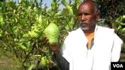 Tigray-Farmer-Researcher