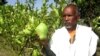 Tigray-Farmer-Researcher