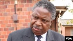 Vice President Phelekezela Mphoko.