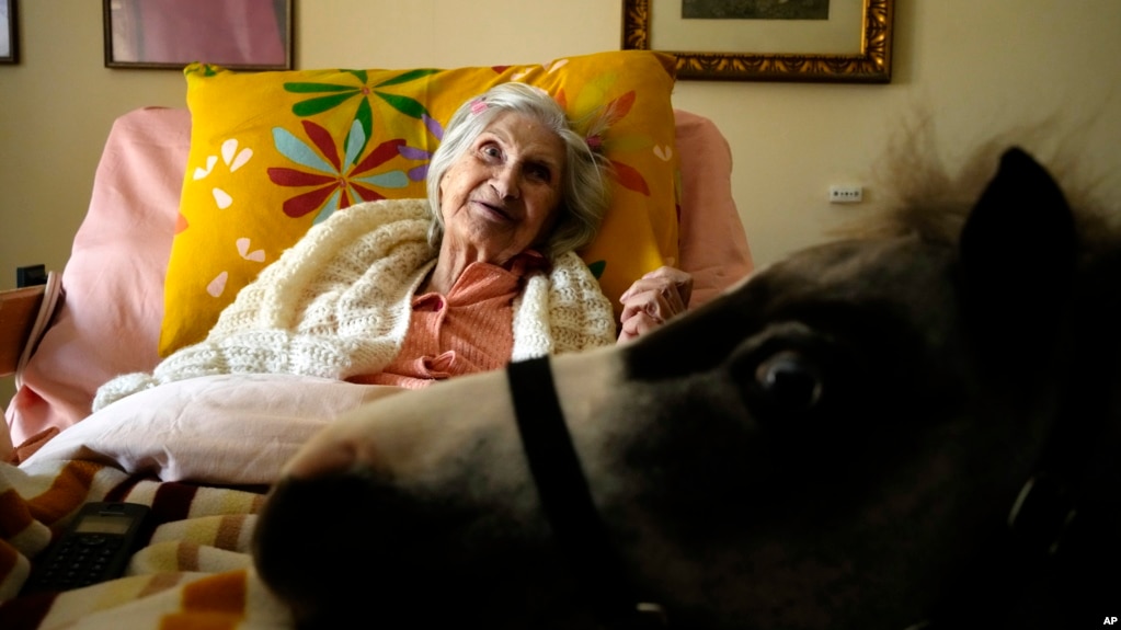 Elli Salma, a resident of an elderly care home, looks up as Ivi, a miniature horse used for therapy programs, visits her room, in Athens, Greece, on Friday, Nov. 22, 2024. (AP Photo/Thanassis Stavrakis)