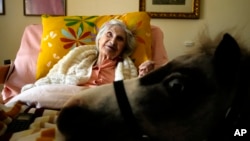 Elli Salma, a resident of an elderly care home, looks up as Ivi, a miniature horse used for therapy programs, visits her room, in Athens, Greece, on Friday, Nov. 22, 2024. (AP Photo/Thanassis Stavrakis)