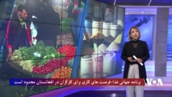  
برنامه جهانی غذا: فرصت های کاری برای کارگران در افغانستان محدود است
