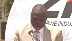 Zimbabwe Kicks Off Cultivation of Cannabis for Research