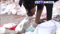 Manchetes Mundo 8 Setembro 2016