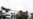 US-Japan May Scrap Accord on Marines in Okinawa