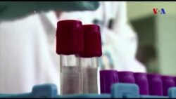 Na área da saúde, 2017 foi o ano das vacinas