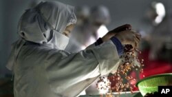 FILE - A female worker scatters raisins to select at Hajii Sher Mohamad Raisin Factory, near Kandahar, Afghanistan.