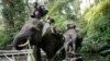 Patroli gajah di Tesso Nilo di Riau, untuk menggiring gajah liar kembali ke hutan. (Foto: Dok)