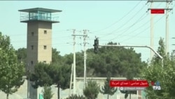 طناب دار و کُشتار در سایه آتش‌بس
