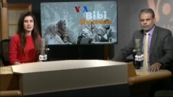 بي بي شیرینه – وي او اې ډيوه په ټیلې ویژن