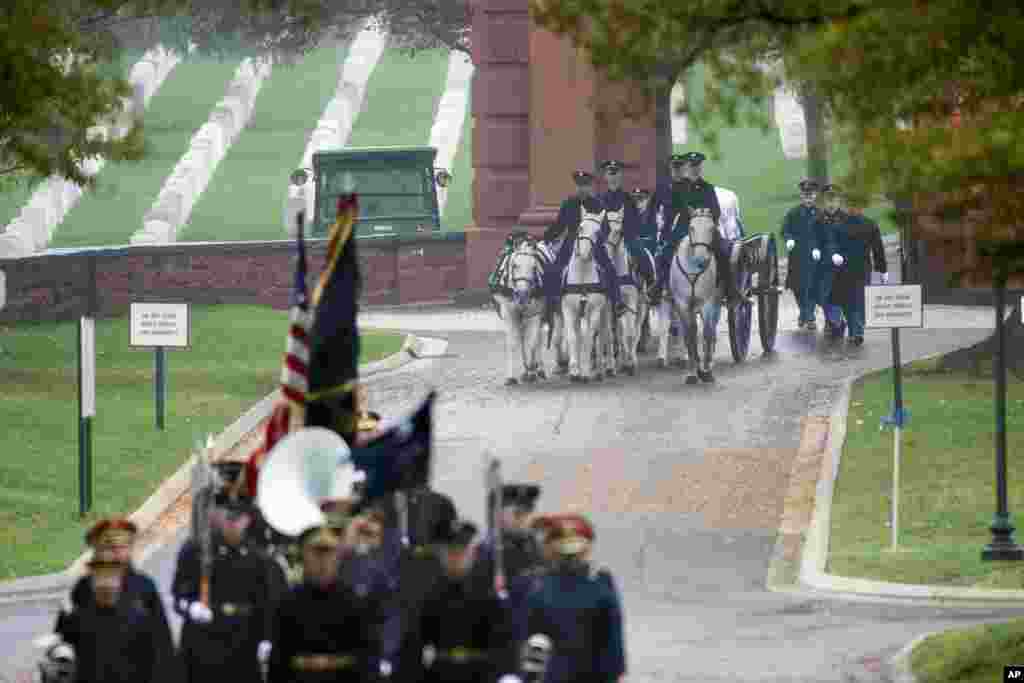 Members of the Army&#39;s 3rd U.S. Infantry Regiment, The Old Guard, lead horses pulling a caisson carrying the remains of Army Air Forces 1st Lt. William O. Pile, who was missing in action from World War II, during his full military honors burial at Arlington National Cemetery in Arlington, Virginia.