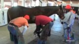 Innovative program Gives Men and Horses a Second Chance