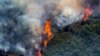 Petugas Pemadam Kebakaran Spanyol Berupaya Kendalikan Amukan Kebakaran Hutan  