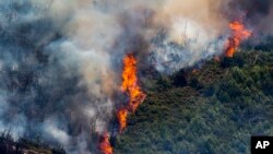 Kebakaran hutan di dekat Alcublas, Spanyol timur, pada Kamis, 18 Agustus 2022. (Foto: AP)