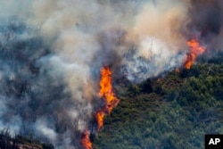 آتش‌سوزی جنگل‌های شرق اسپانیا - ۱۸ اوت ۲۰۲۲ (۲۷ مرداد ۱۴۰۱)