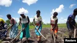 Women prepare land for crops as part of a World Food Program initiative helping communities recovering from the aftermath of last year's Cyclone Idai in Dondo, Mozambique, Feb. 27, 2020.