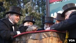 El presidente del club de la marmota, Bill Deeley, a la derecha en la foto, observa a Punxsutawney Phil.