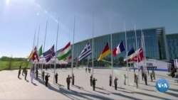 Vashingtonda NATO sammiti